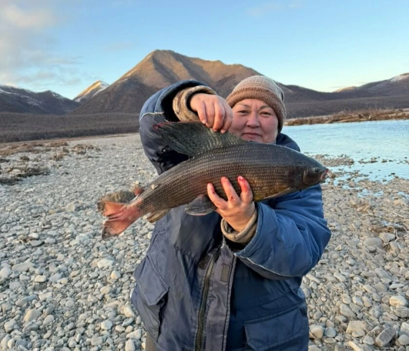 😲🐟 Настоящий трофей: якутянка выловила рекордного хариуса весом 2,3 кг и может побить...