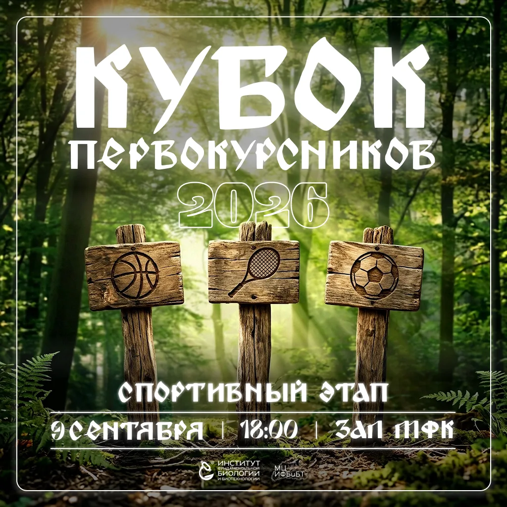 Время доказать, что вы — команда 🏆
