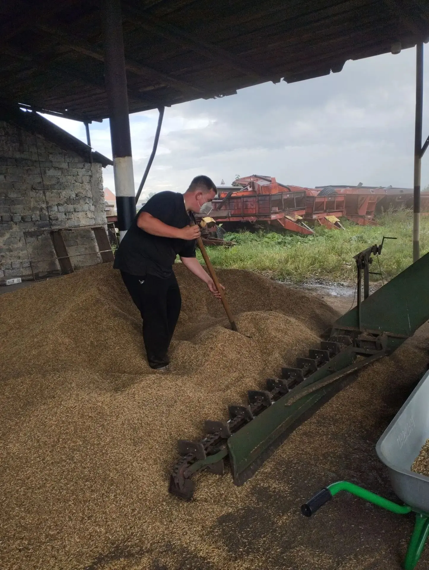 🚜От теории к реальному производству: студенты группы 252д осваивают переработку зерна ️🚜