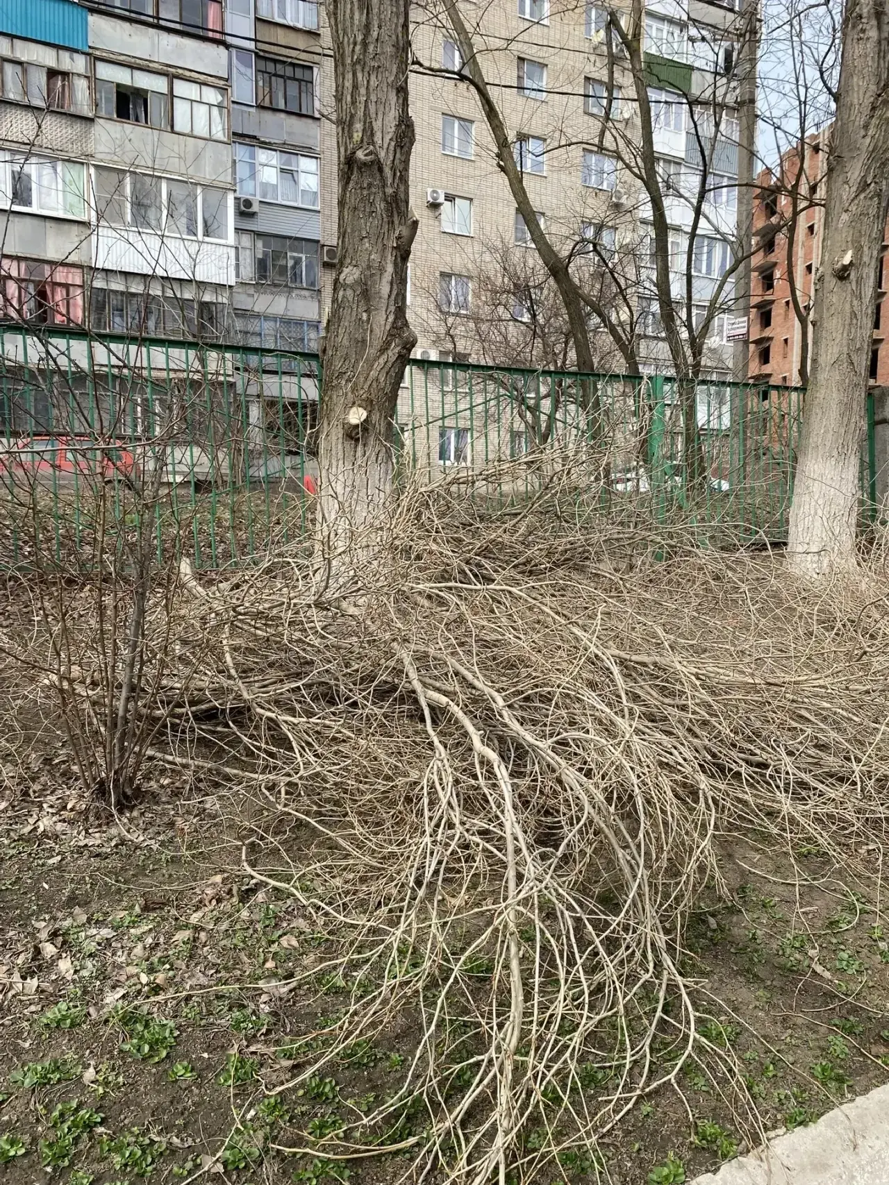 ✅Добрый день, наши дорогие подписчики✅