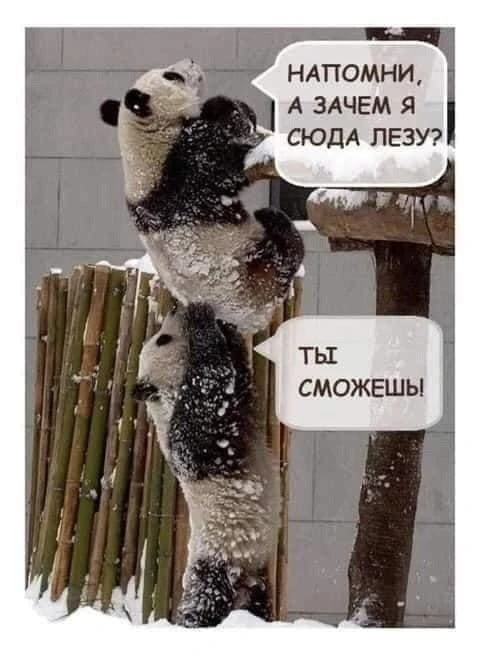 А у нас в квартире газ….» - как-то сказал Владимир Владимирович в своём выступлении.