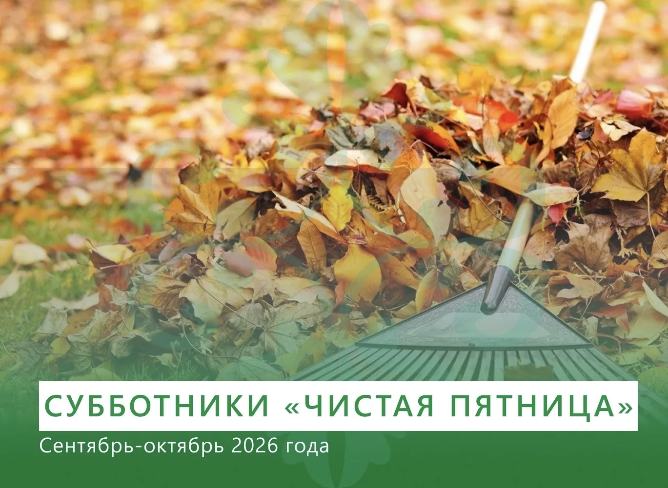 Приглашаем на субботники «Чистая пятница»!
