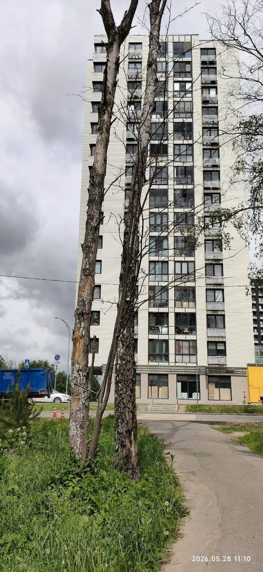 Продолжаем ждать, когда около 2 дома в ЖК Москвичка уберут 6 стоящих вдоль дорожки дере...