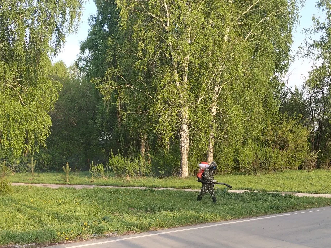 Добрый день! На территории парка, спортивно-игровой площадки, школьной территории и кла...