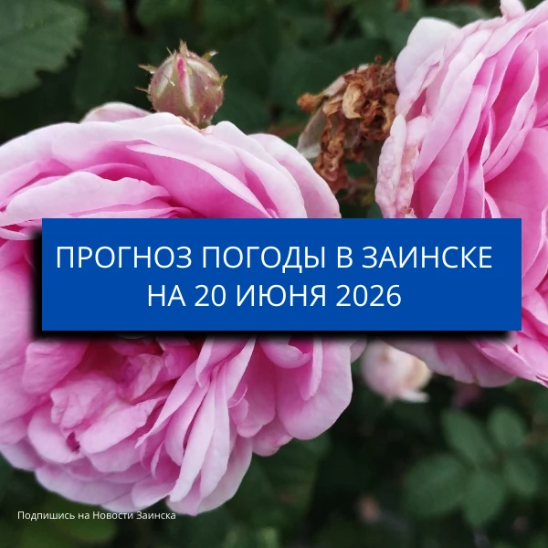 🌦 Погода в Заинске на 20 июня