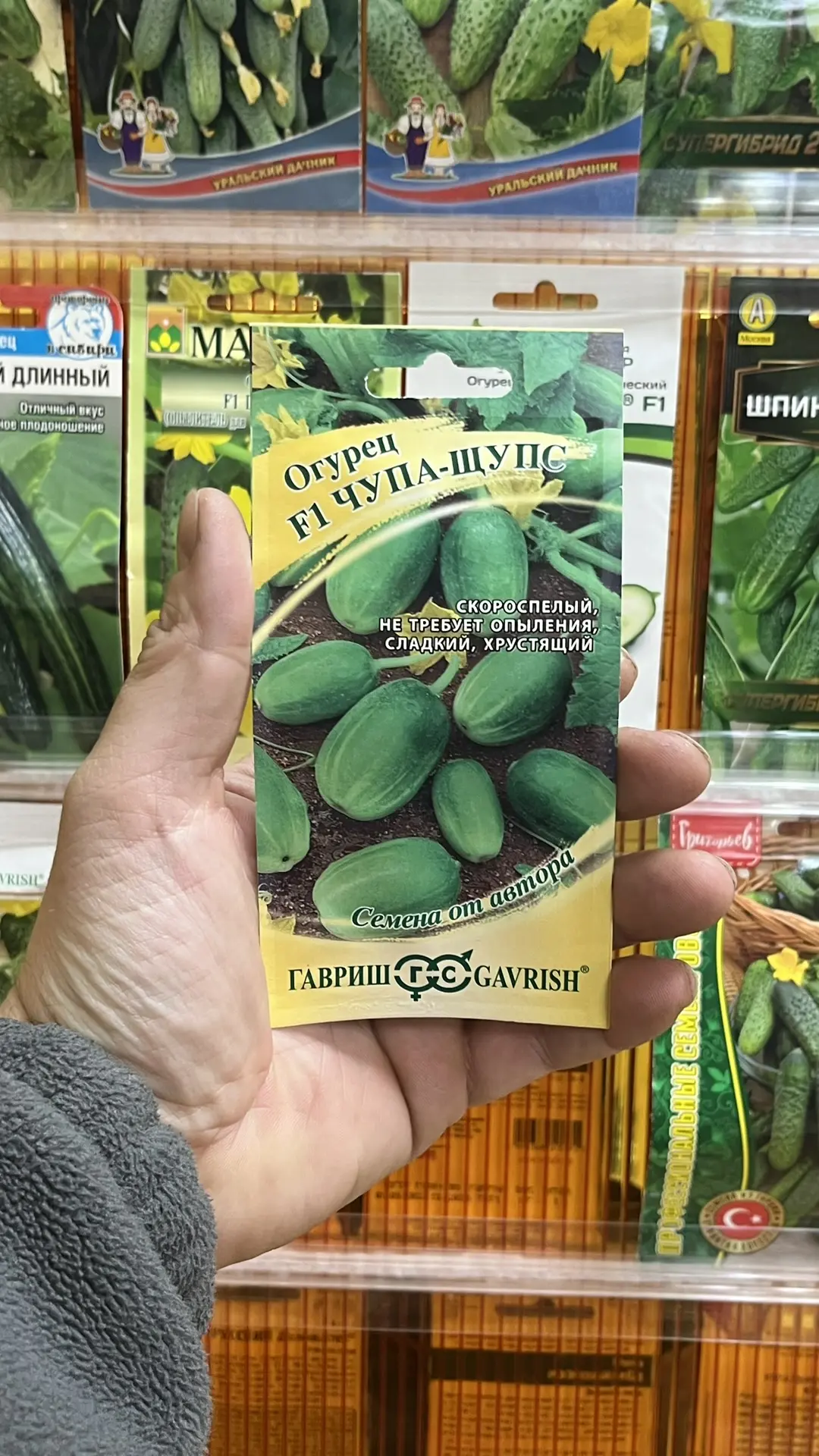 Огурцы 2026 – какие посажу обязательно и какие больше никогда.  #консультантсадовода  Огурцы – сравн
