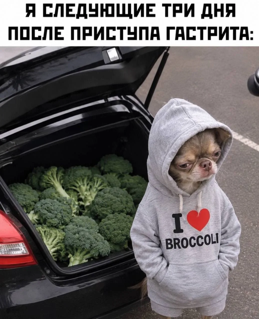 База