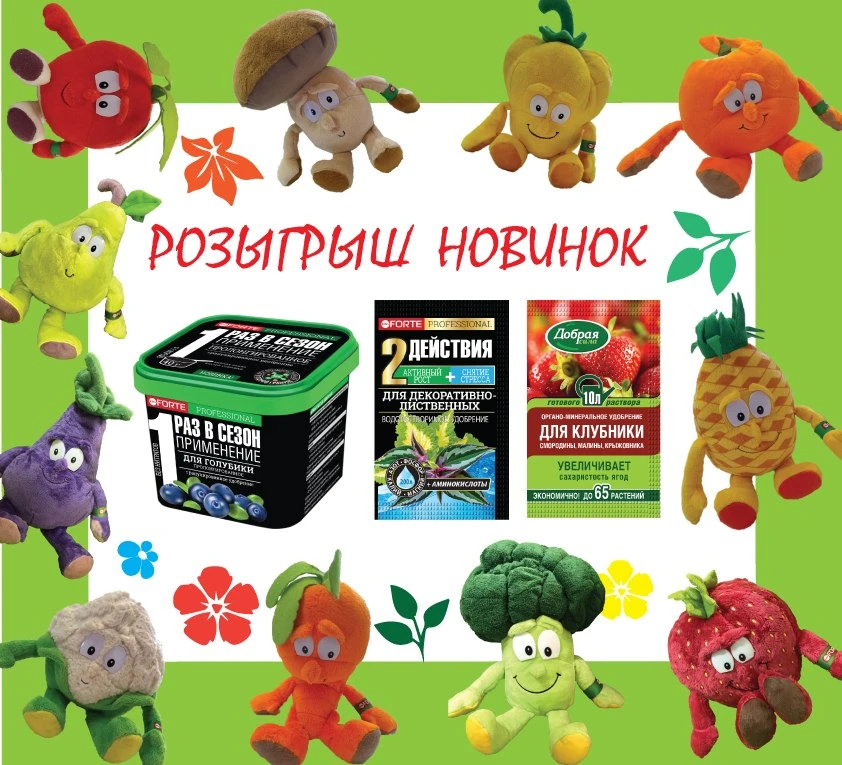 САМЫЙ КЛАССНЫЙ УРОЖАЙ — РОЗЫГРЫШ КО ДНЮ САДОВОДА! 🥒🍓