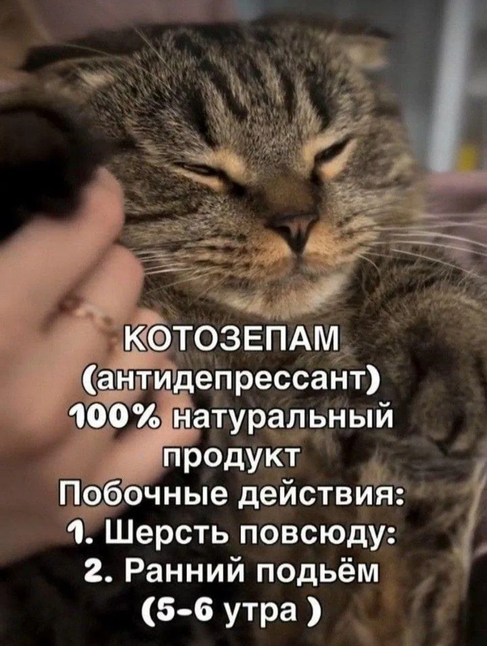 Рубрика "Воскресный юмор от психолога"
Всем хорошего дня.

И ничего, что суббота 🤣🤣🤣