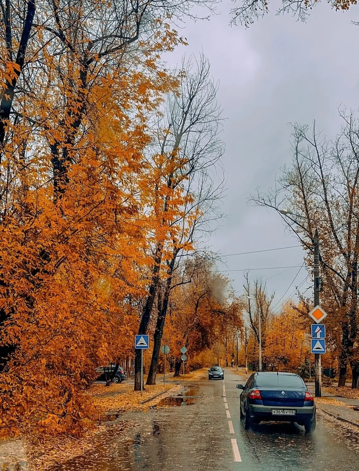 Осенний город☔️🍂🏙️