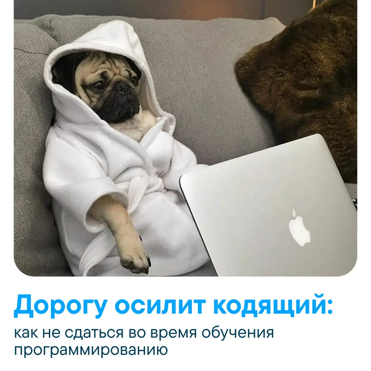 Кодинг – это не спринт, а ультрамарафон с препятствиями 🏃‍♂️