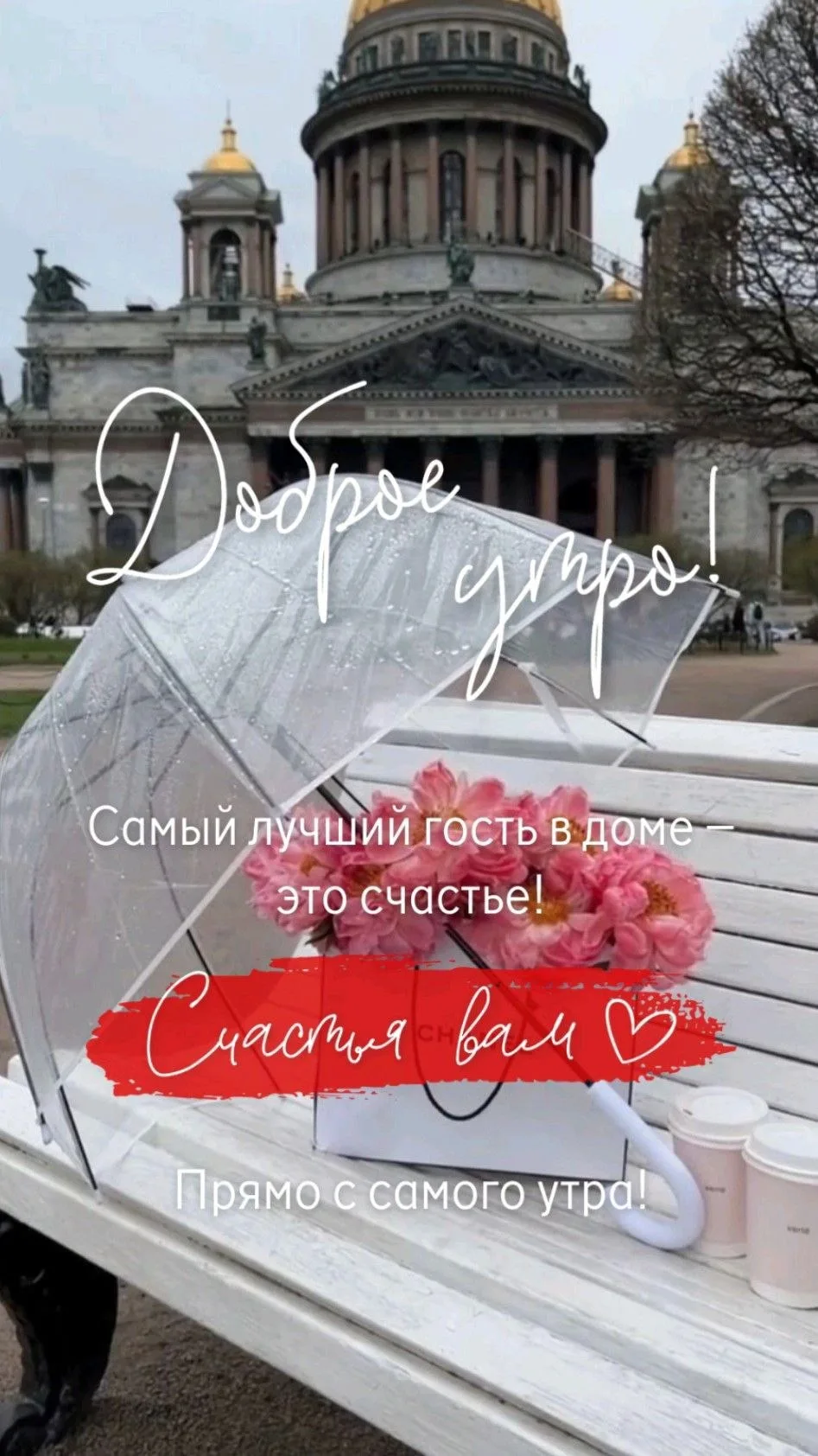 Друзья, доброе утро!🌞