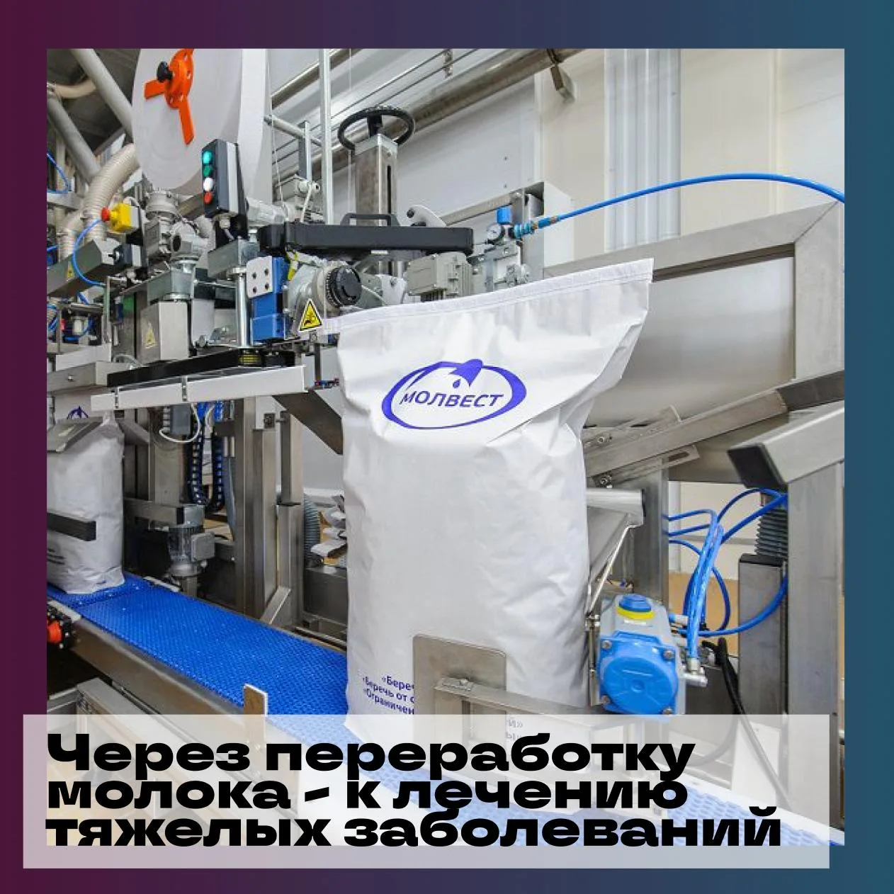 🏭 Калачеевский сырзавод (г. Калач Воронежской области, входит в группу «Молвест»), более чем вдвое 