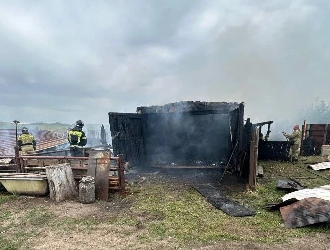 🛑 Бытовой вагончик и хозпостройка сгорели в Краснокаменске

Возгорание было ликвидировано на общей 