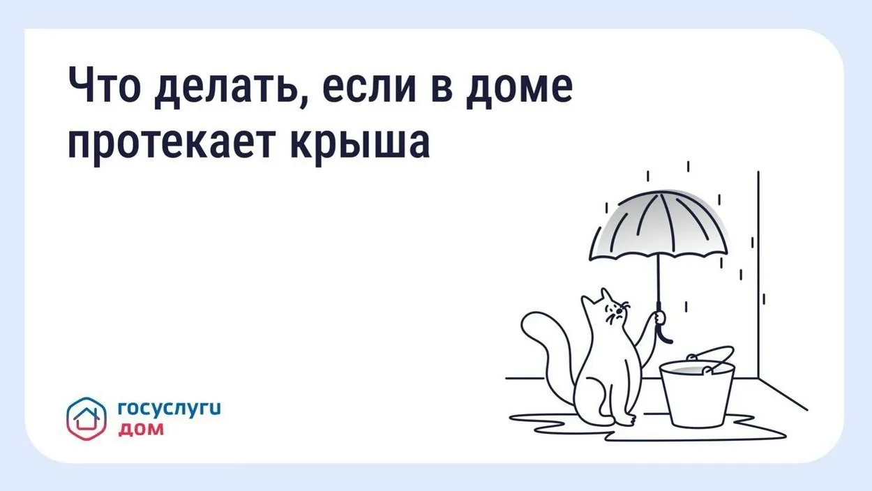 💧Как добиться устранения протечек в крыше