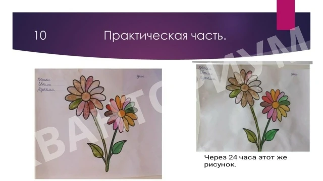 🎨 Проекты кванторианцев: краски своими руками 🎨 !