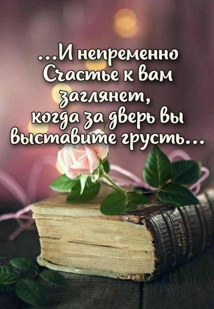 Не теряй нас, жми подписаться👇
МИР ОТКРЫТОК