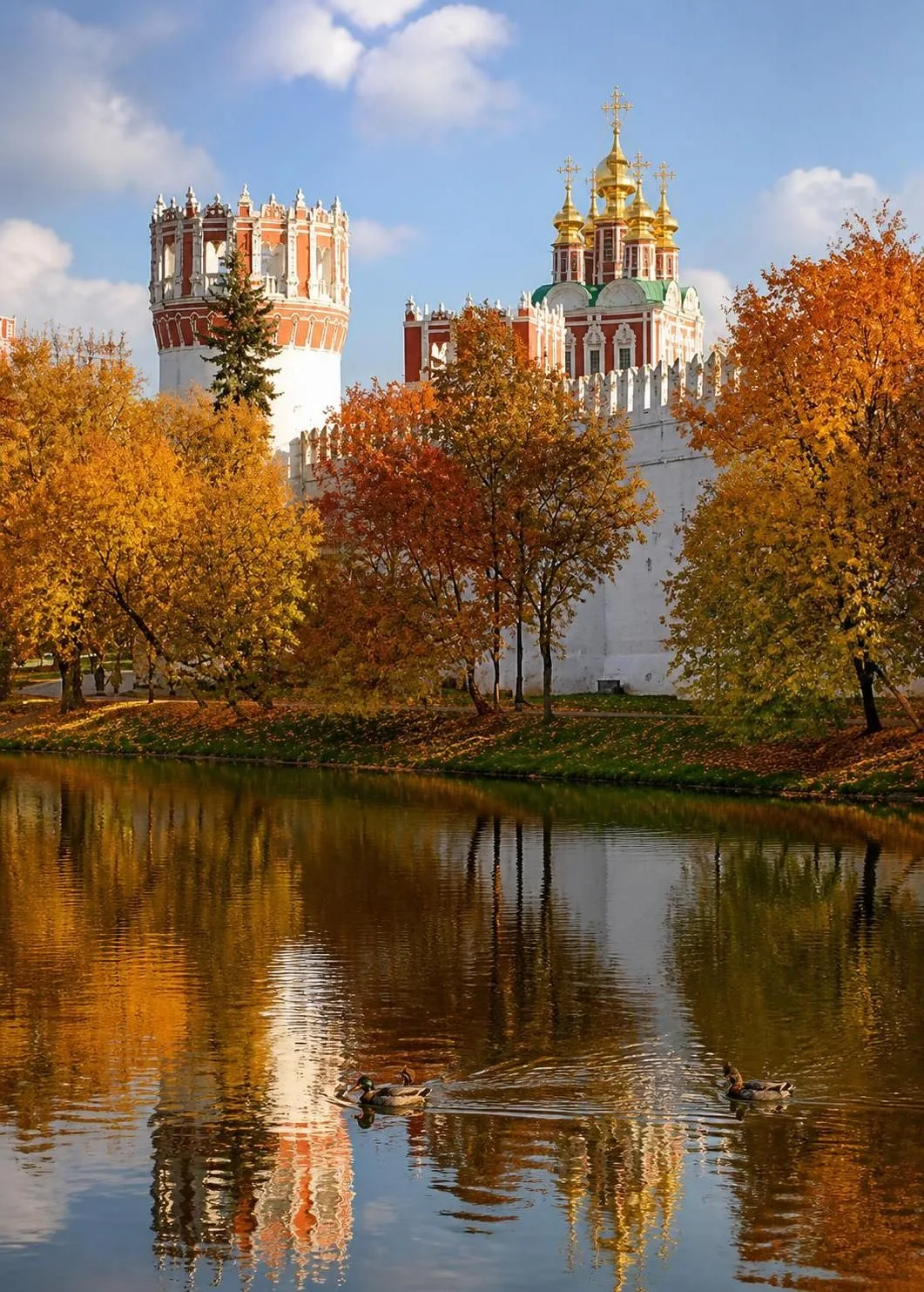 Доброе❤️
