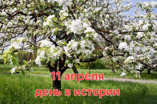 А знаете ли вы, что ❓