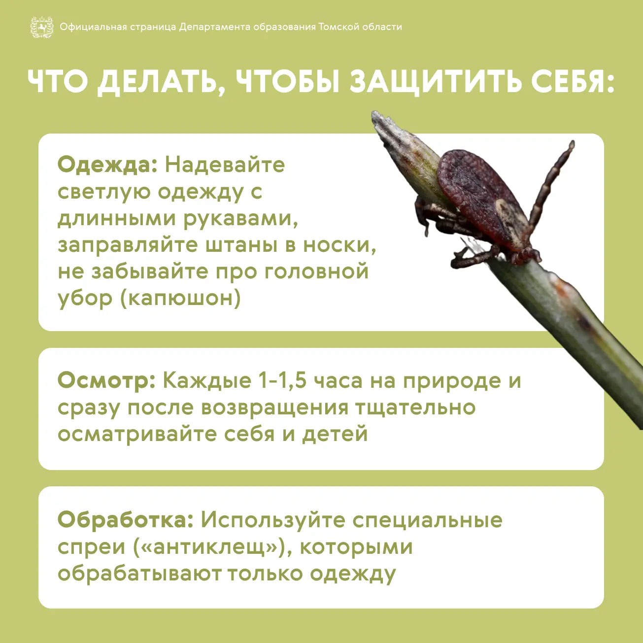 ⚠️ Безопасность начинается с простых правил  С наступлением тёплого сезона особенно важно напомнить 