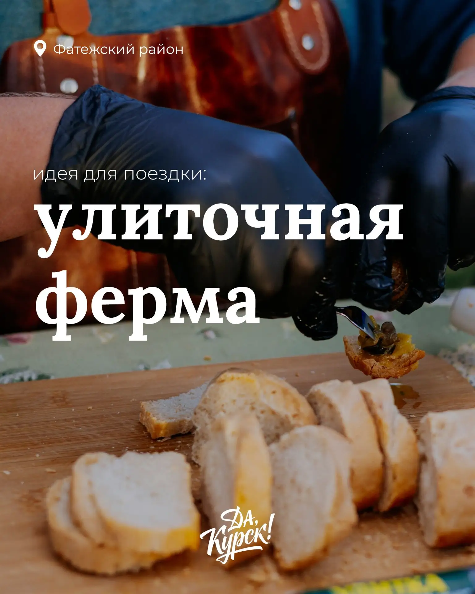🐌 А вы знали, что недалеко от Курска есть улиточная ферма?