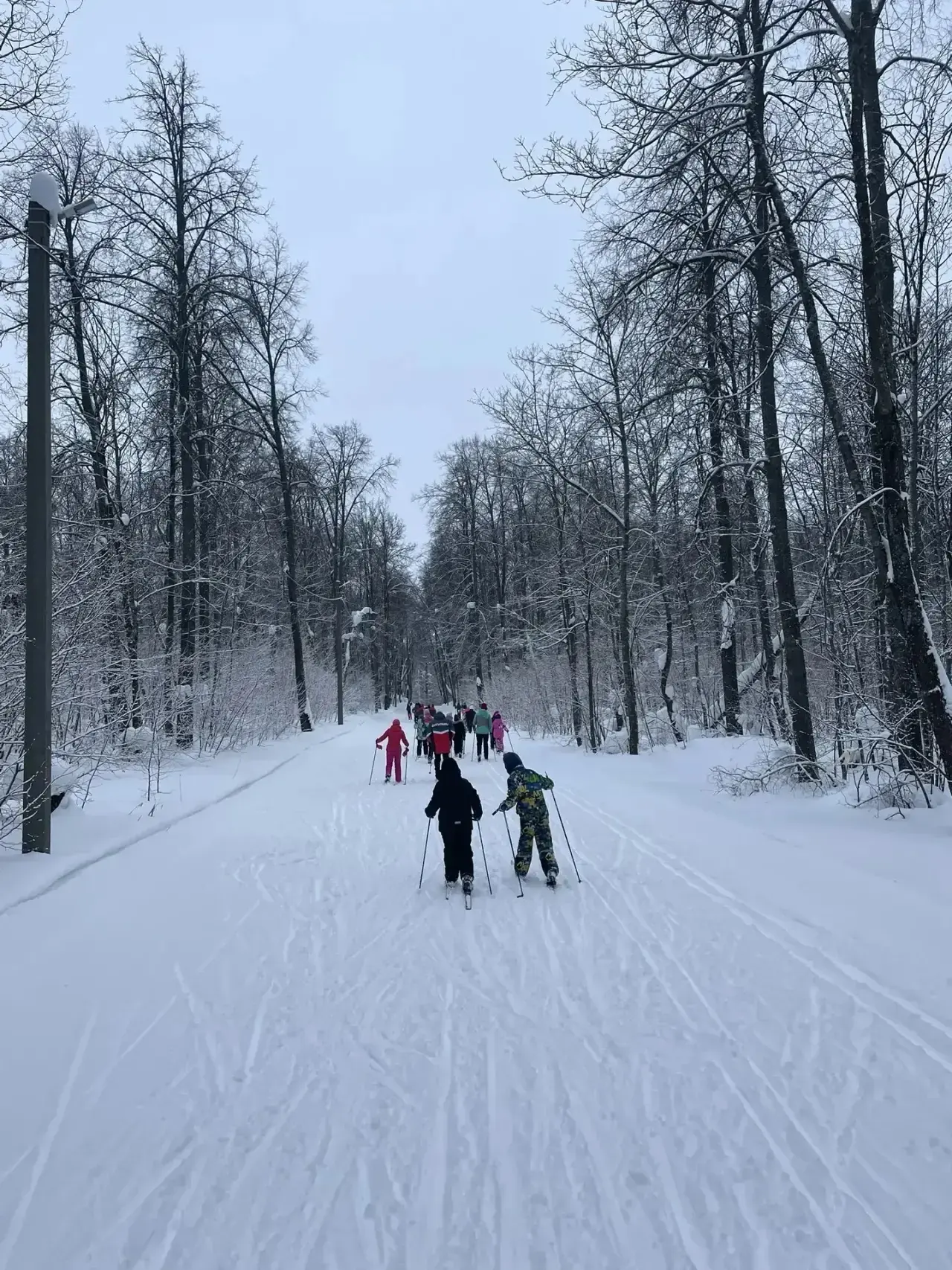 ❄️Ученики 2А класса решили провести необычный День здоровья. Ребята отправились на прогулку в лес на