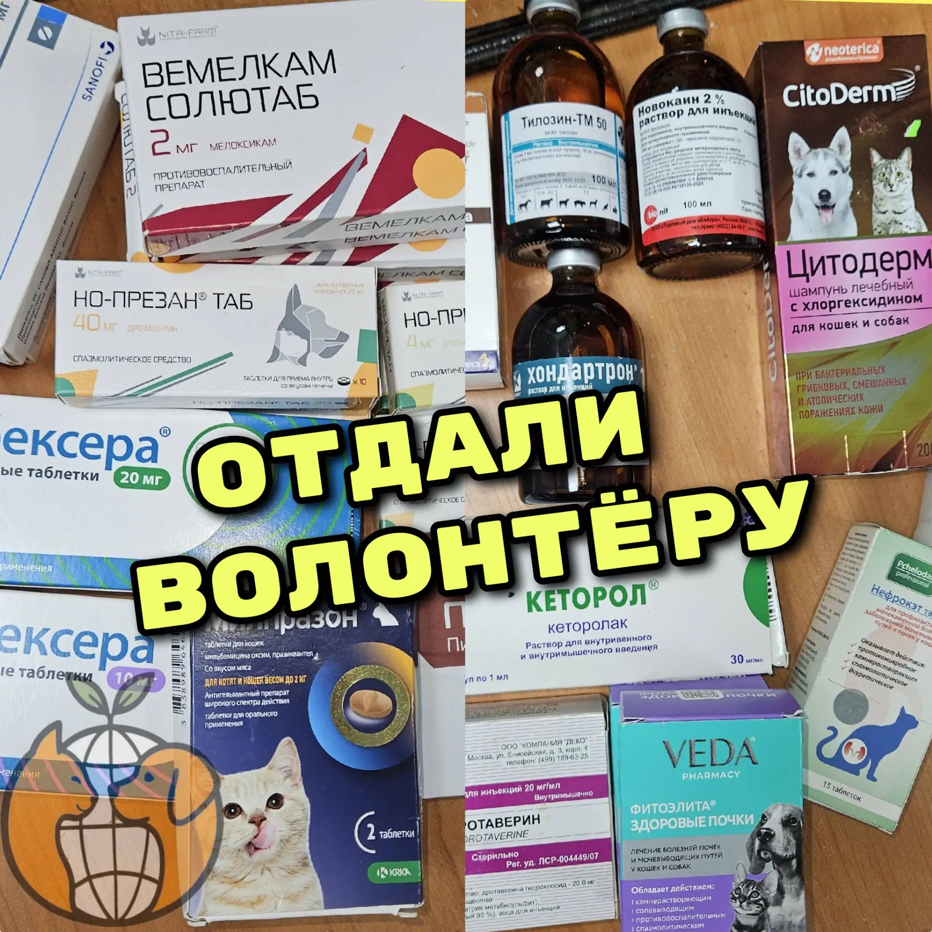Вчера все лекарства из поста: https://vk.ru/wall-228940348_12733 , которые нам в данный...