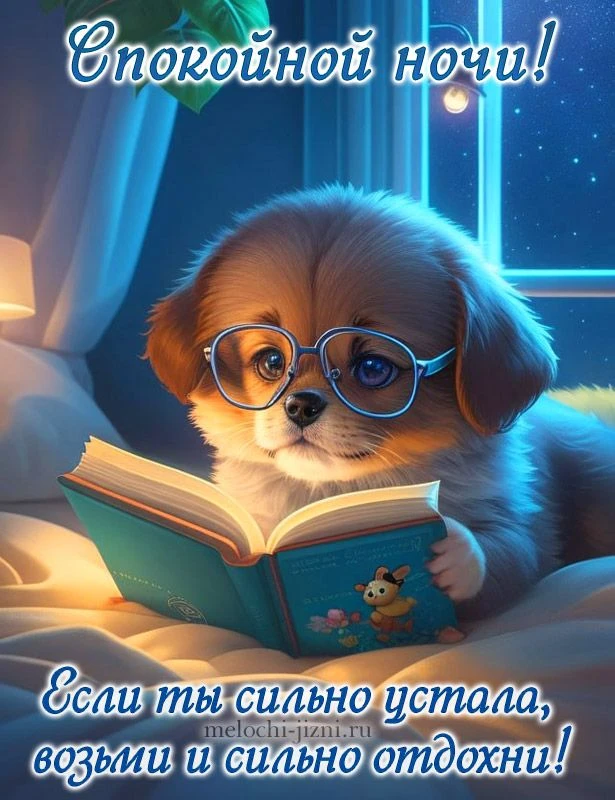 🥰 Оставляйте реакции, если понравилась открытка и делитесь с близкими ❤️