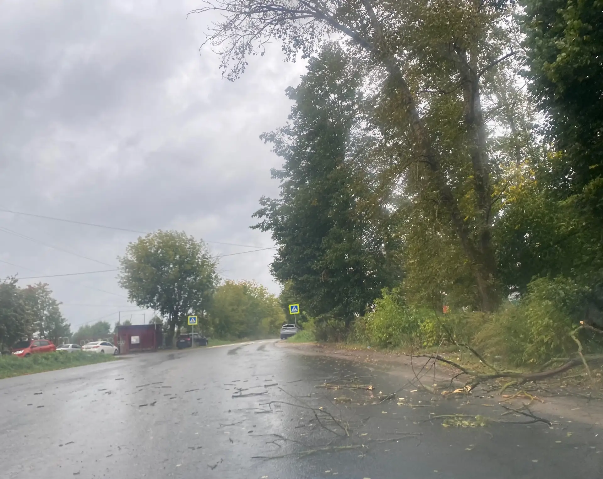 Осторожно. У парка ярцевского на Текмаше дерево упало на дорогу