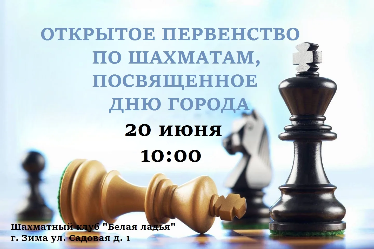 Открытое первенство по шахматам,