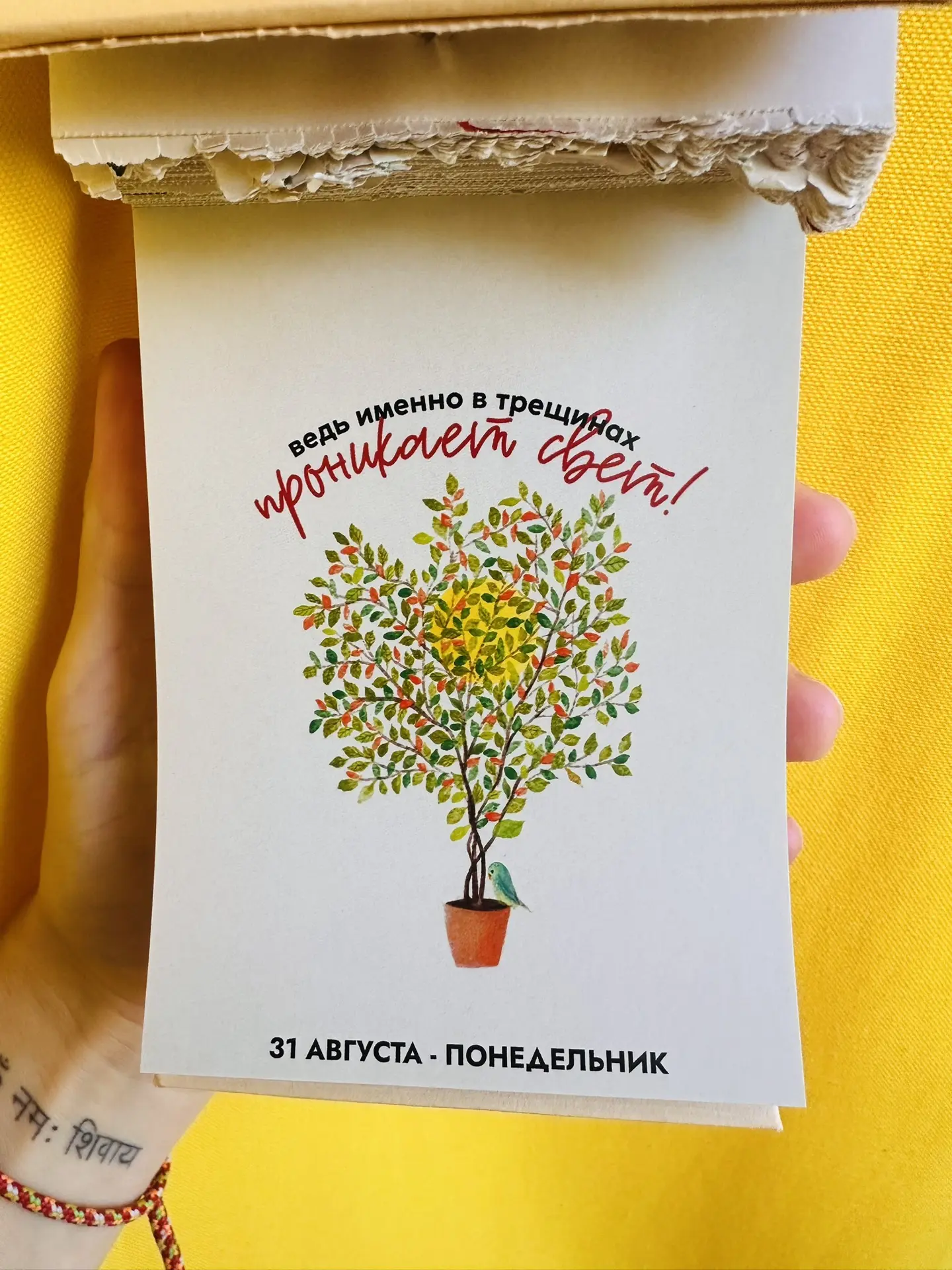 Доброе утро! 🙏