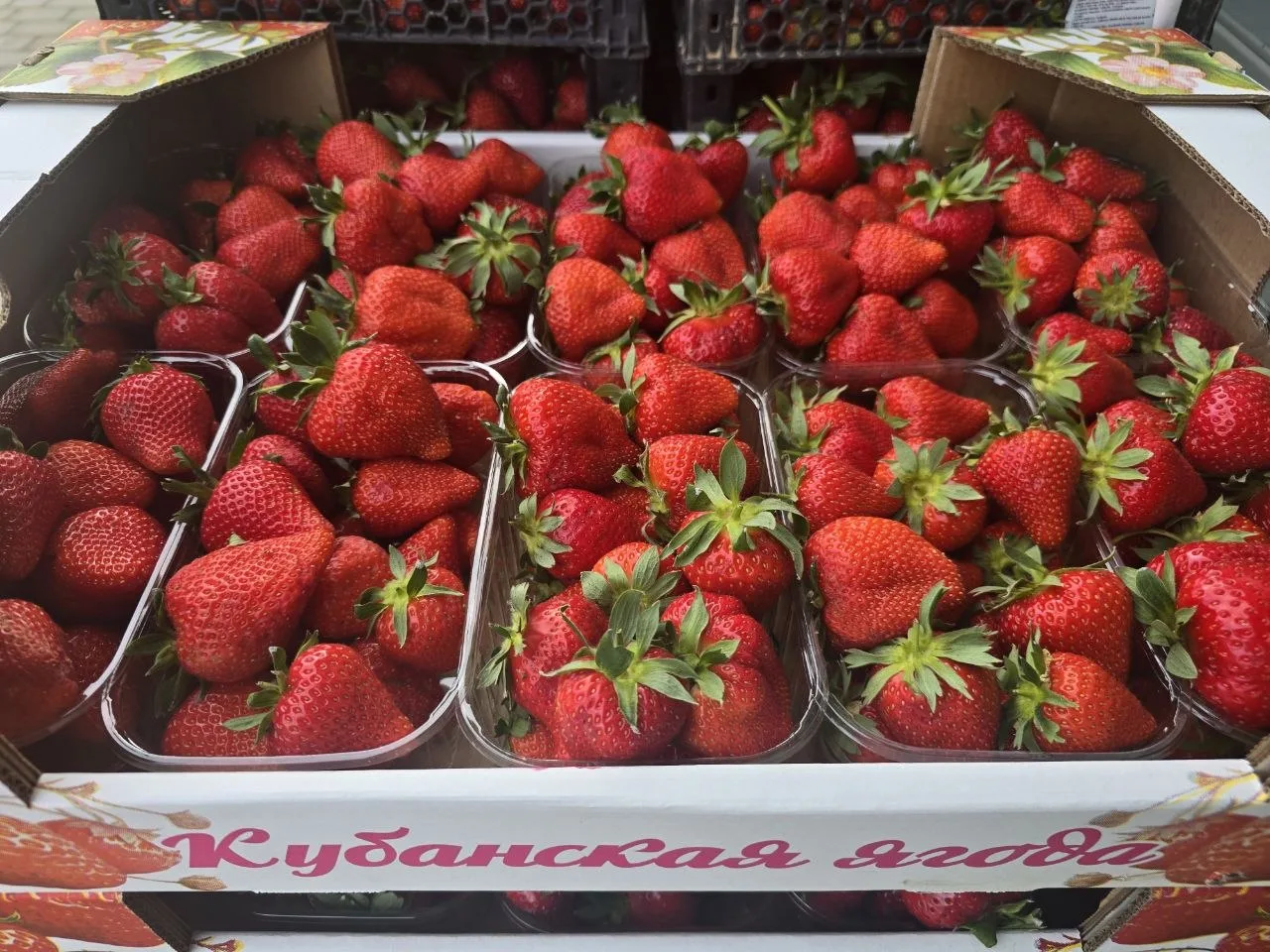 ▌ 🍓 Клубничка с ароматом лета!
