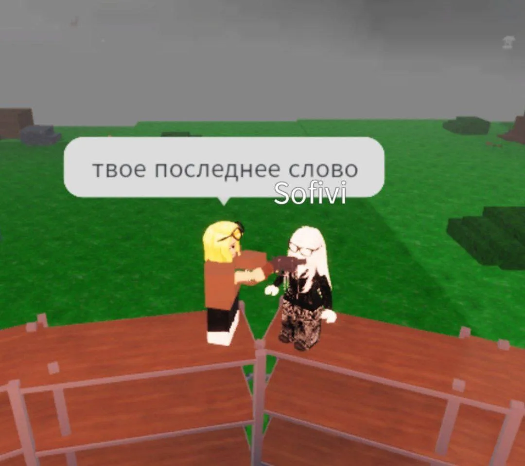 Когда бро тебя довёл: