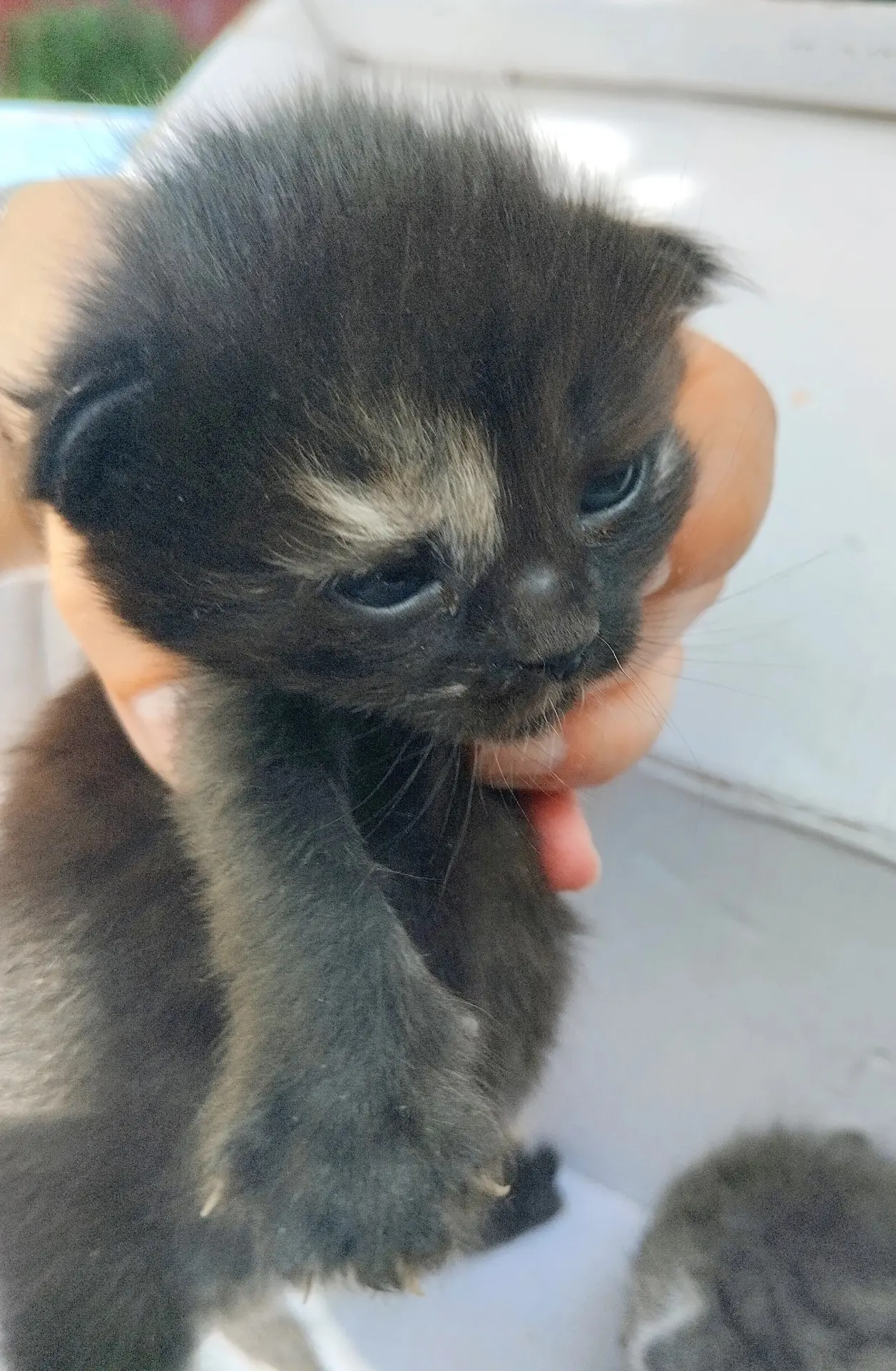💌 И снова находка на помойке...