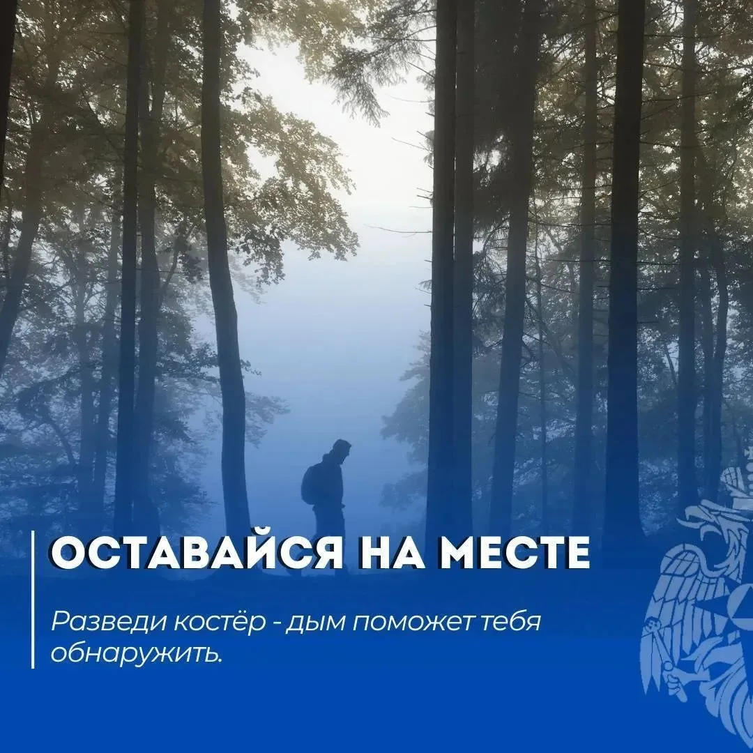 Лето — время походов и прогулок, но даже опытный турист может сбиться с пути. Паника — главный враг.