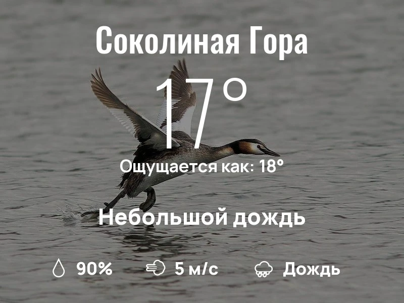 Что с погодой в районе Соколиной Горы?