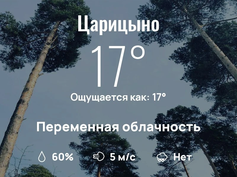 Что с погодой в Царицыно?