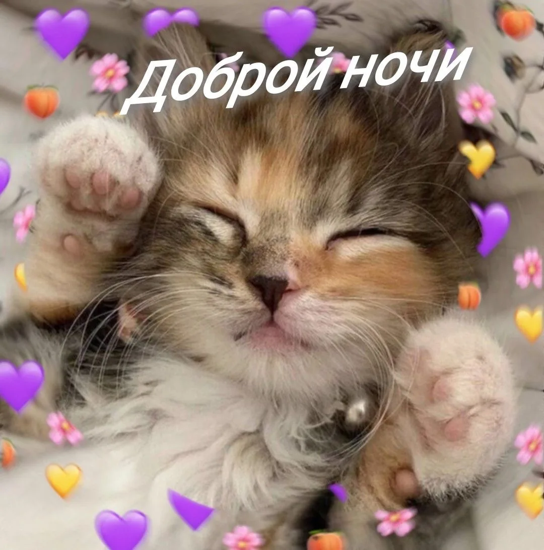🌙 Вечерний чек-ин