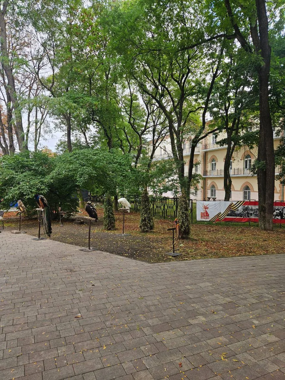 🦅 Фотографы с дикими птицами вернулись в парк Ессентуков