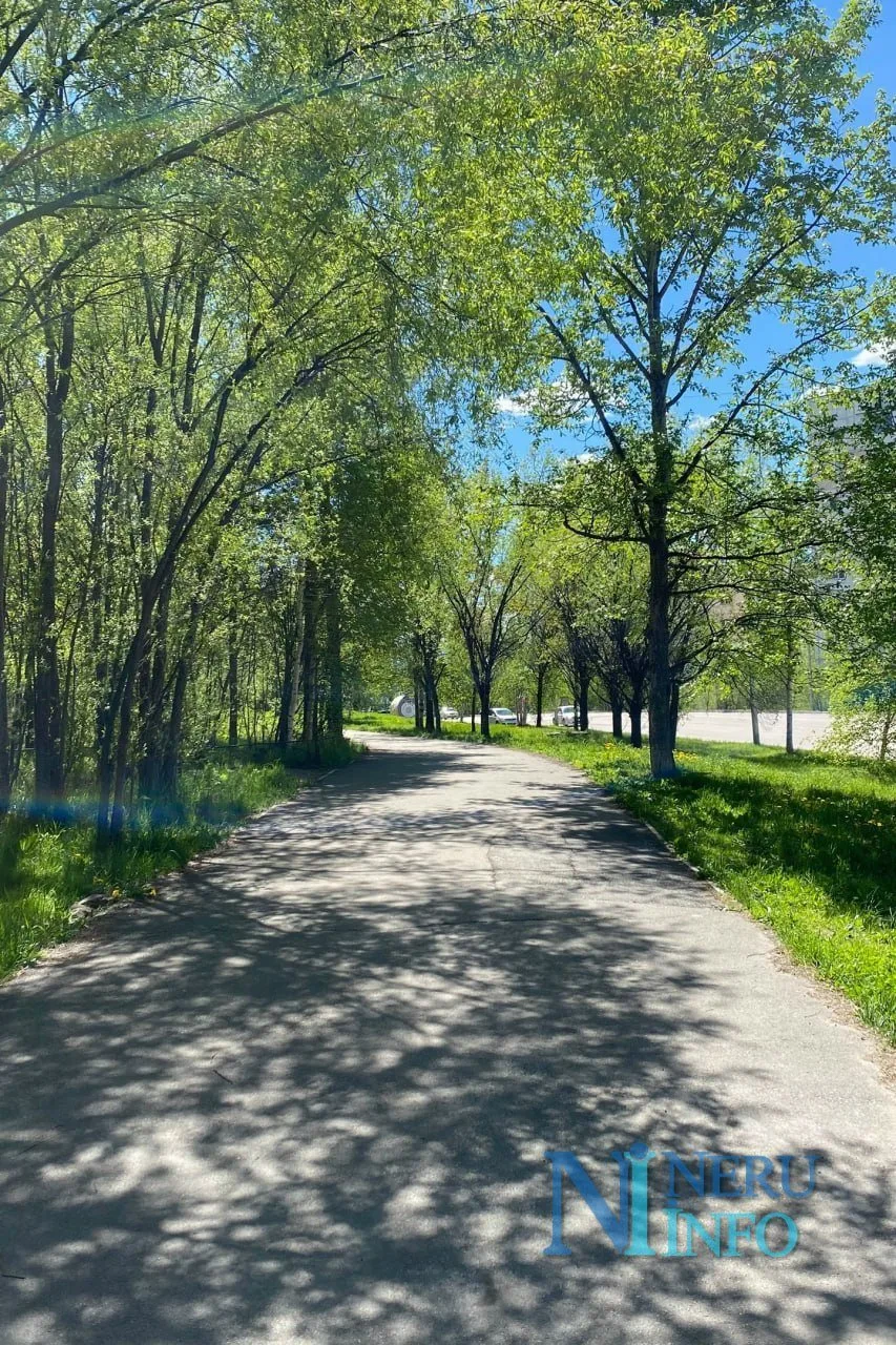 Отличного вторника, горожане и жители района 💙

📸: от подписчицы