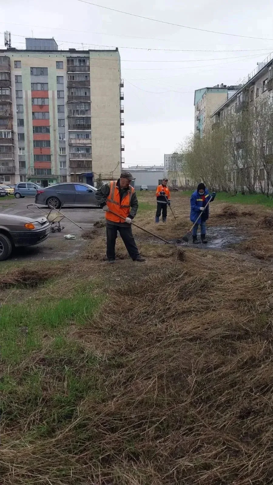 👷‍ Сотрудниками ООО "ЖЭУ Центральное" на 12.06.2026 года выполнялись следующие виды работ:
- уборка