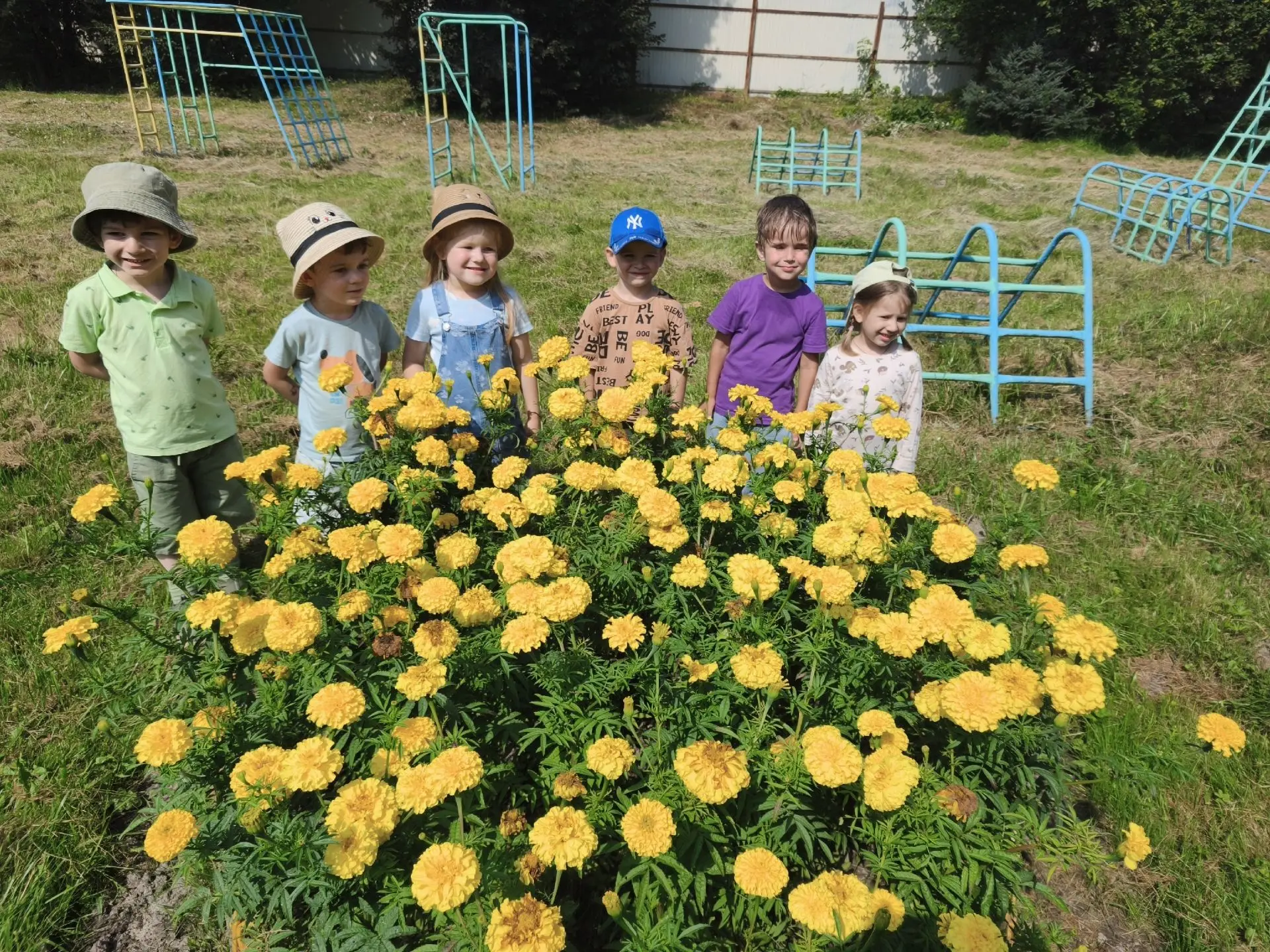 🌺🌸🌼"Летние цветы на территории детского сада»🏡☀️