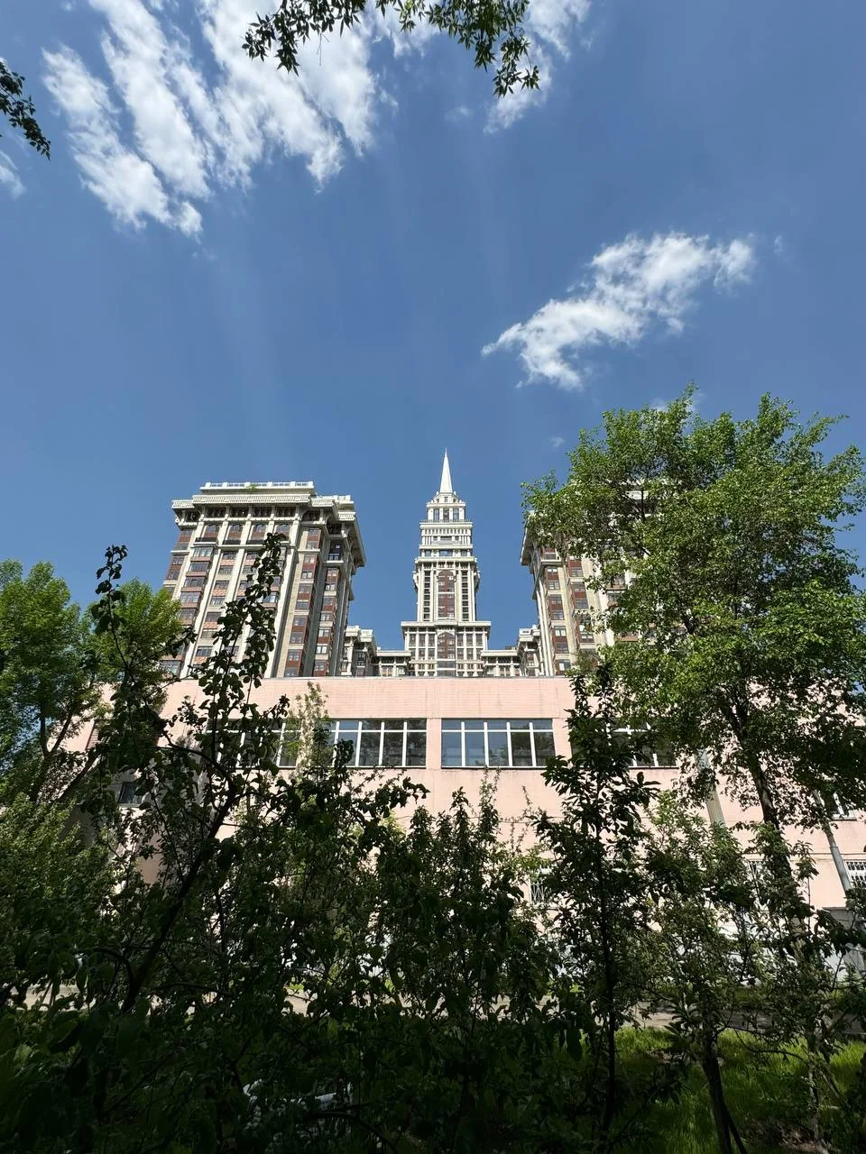 🏙️ Городское лето. Поймано в кадр
