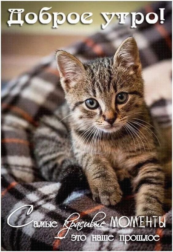 Красивые открытки❤️