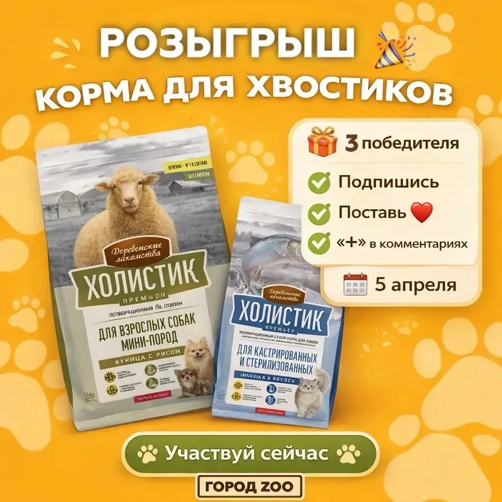 РОЗЫГРЫШ 🎉