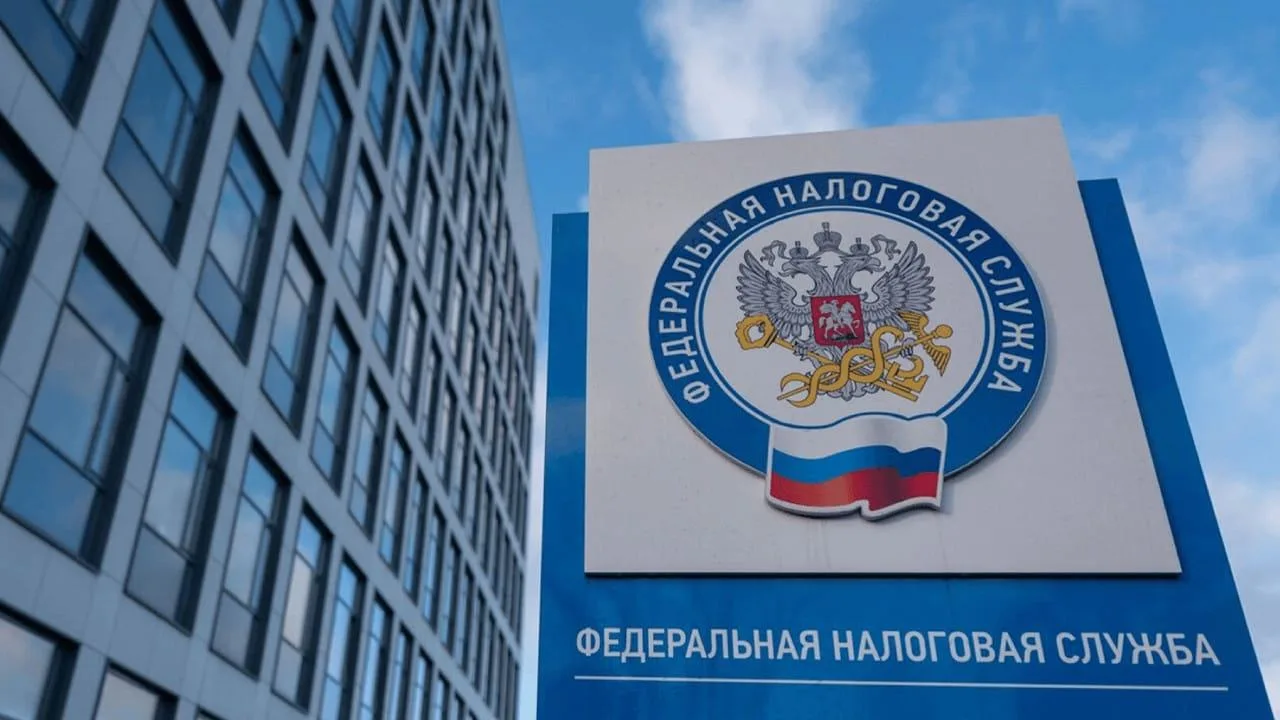 🛑Эксперимент ФНС по обелению рынка персонала