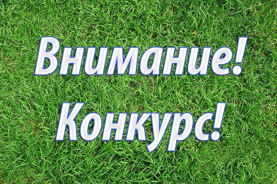 Региональный конкурс «Самая открытая управляющая компания Новгородской области»