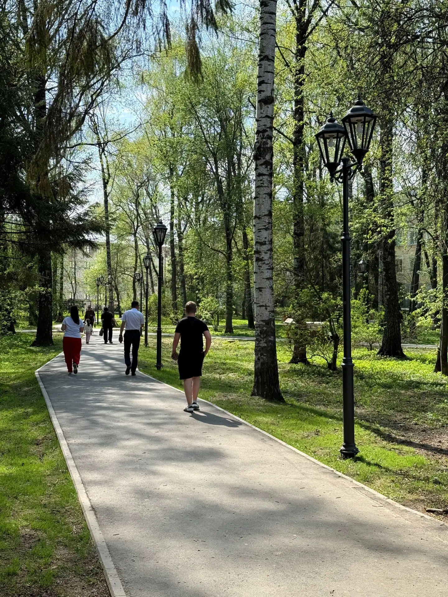 🌳 Центральный парк культуры и отдыха стал более комфортным благодаря реализация федерального проекта
