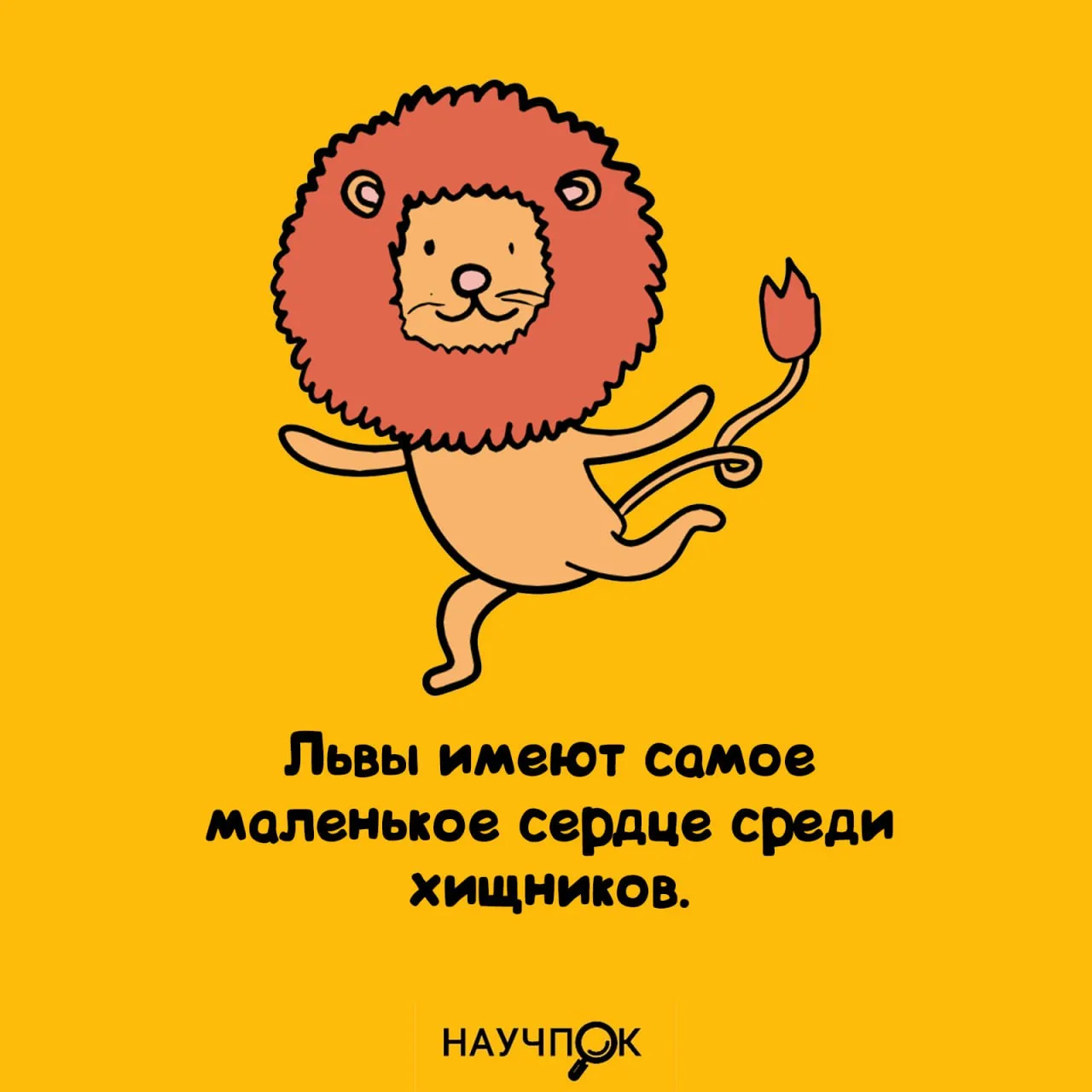 Научпок | Подписаться
