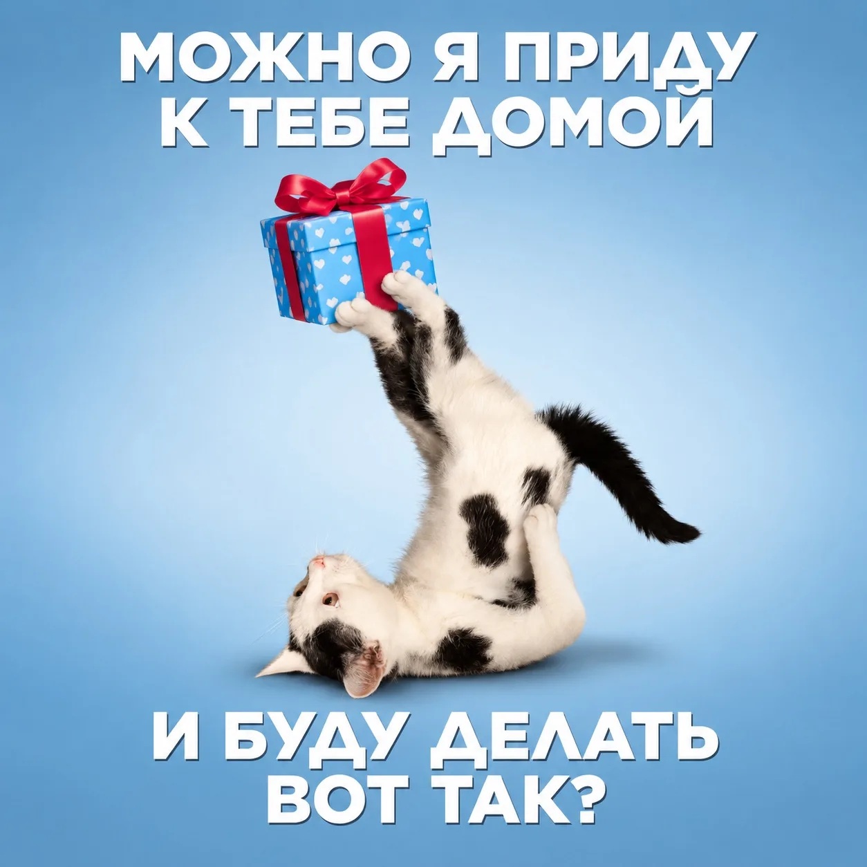 Фестиваль автозвука и автотехники состоится уже завтра, но о ПОДАРКАХ нужно подумать уж...